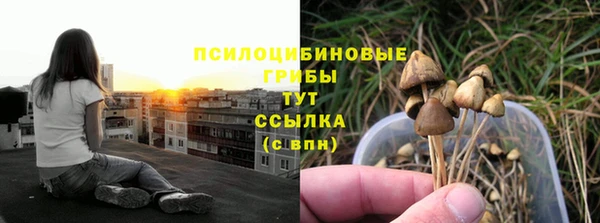 PSILOCYBIN Балабаново