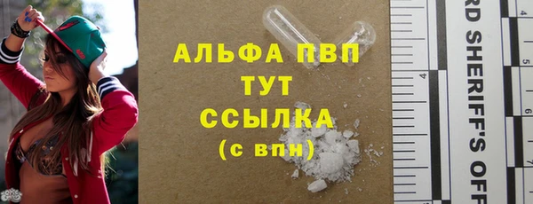 PSILOCYBIN Балабаново