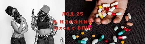 PSILOCYBIN Балабаново