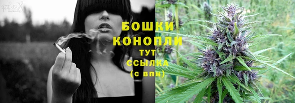 PSILOCYBIN Балабаново